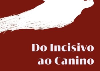 Bert Jr. analisa as dinâmicas dos relacionamentos contemporâneos em novo livro