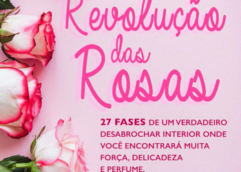 Toda mulher gosta de rosas?