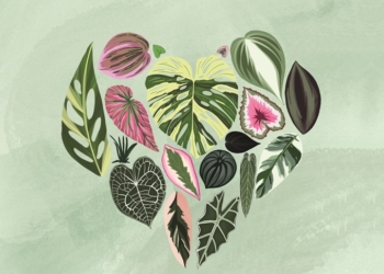 Hortoterapia: jardinagem como promotora da saúde mental