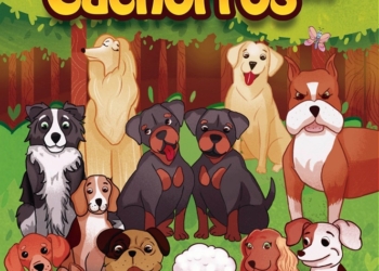 O que os cães podem ensinar aos jovens?