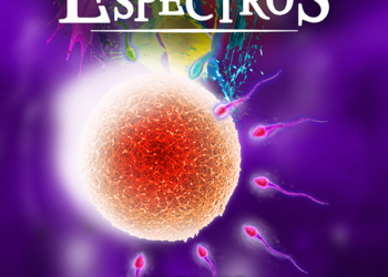 Reflexos de sensibilidade em luz e poesia