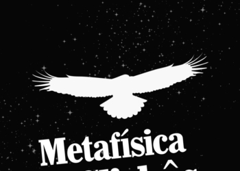 Metafísica dos Clichês: para jovens que se tornaram adultos cedo demais