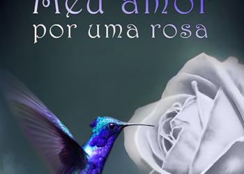 Manipule as palavras para amar uma rosa