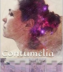 Entre a morte e o amor, a obra “Contumélia” retrata o lado mais pragmático do Brasil Imperial