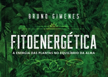 5 plantas para melhorar a energia do lar
