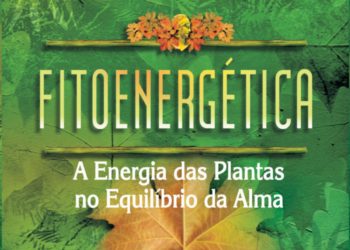 Muito mais que um chá: o poder das plantas no equilíbrio de pessoas, ambientes e animais