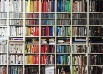 Qual era o livro mais vendido no ano em que você nasceu?