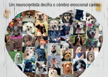 “Será que ele me ama?” Livro de neurocientista esclarece os sentimentos do melhor amigo do homem