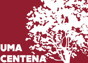 Essas flores são sinceras?