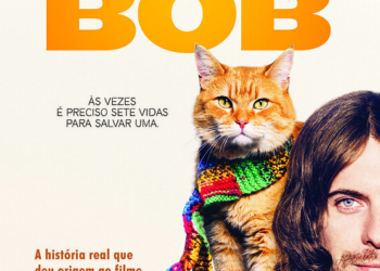 Protagonista felino encanta pessoas mundo afora