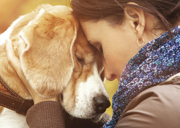 O amor desinteressado dos animais