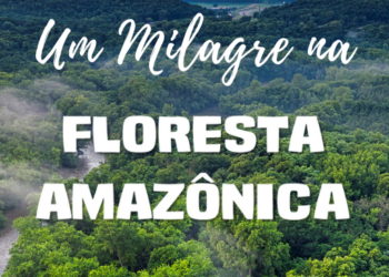 A cura está na Amazônia: ficção homenageia riqueza espiritual do Brasil