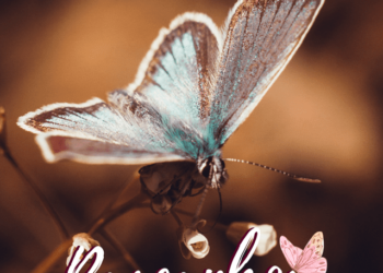 Neste livro, o leitor assume o protagonismo e escreve textos autorais