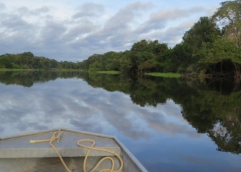 Precisamos proteger a Amazônia hoje para viver o amanhã