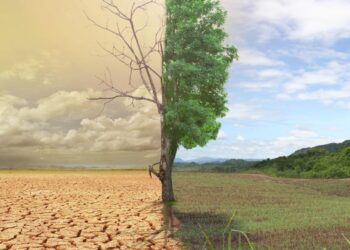 O Brasil está preparado para o clima extremo?