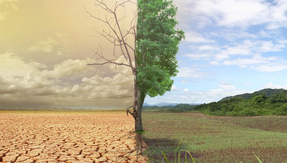 O Brasil está preparado para o clima extremo? LC Agência de Comunicação