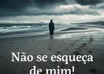 Vidas forjadas pelo mar