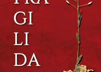 12 obras de autores do Sul do Brasil para prestigiar este mês