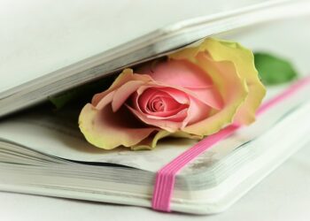 7 livros para se apaixonar por poesia