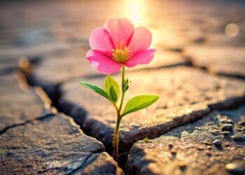 A esperança nunca decepciona