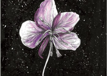 Luto: como aceitar a finitude da vida?