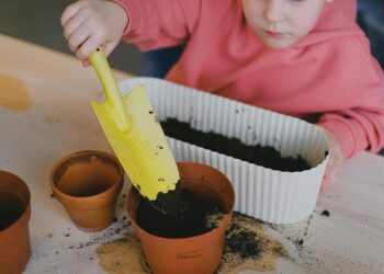 Modelando pepinos para um futuro melhor
