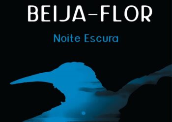 Teia de afetos e desigualdades marcam  romance policial brasileiro