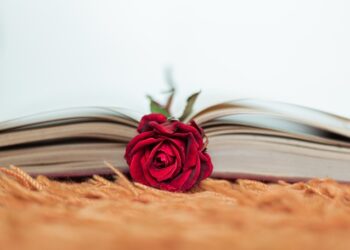 4 romances para devorar sem medo de ser feliz