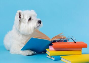 De cachorro a caranguejo: conheça 7 livros protagonizados por animais
