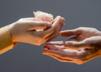 4 virtudes para deixar a rotina mais leve