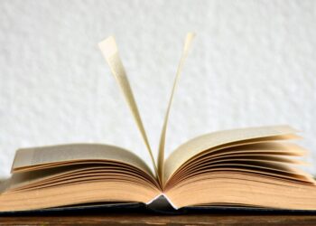 De romances históricos a poesias: 14 livros para ler em agosto