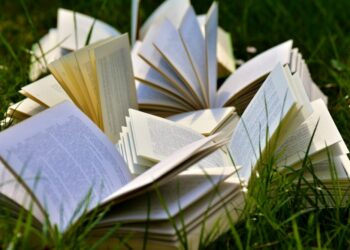 Do romance histórico à distopia: 5 livros para ler em novembro