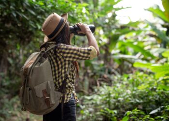Do sertão ao faroeste: duas conquistas e o mesmo silêncio