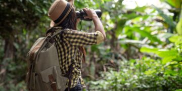 Do sertão ao faroeste: duas conquistas e o mesmo silêncio