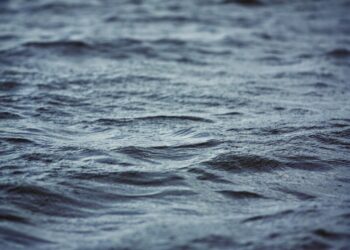 O mar dentro da gota