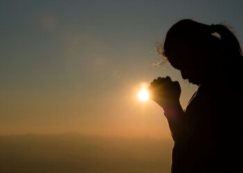 5 lições para florescer novos propósitos de vida em 2026