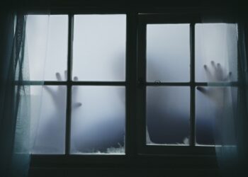 Por que amamos o medo?