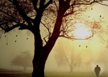 A memória apaga, mas a fé reconstrói: a jornada espiritual de um homem em busca de si