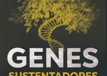 O que separa empresas que quebram daquelas que emergem mais fortes?