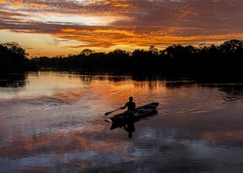 Por que os adolescentes precisam conhecer a Amazônia?