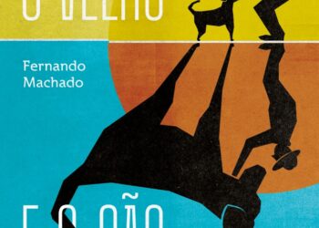 A narrativa de um cão que começa no abandono e termina no afeto